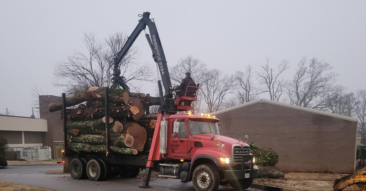 Land Clearing