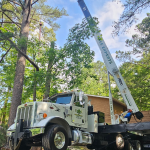 Tree Pruning