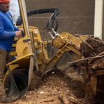 stump grinding